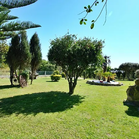 Galihost - Seixelino En Playa Raeiros - Balea O Grove